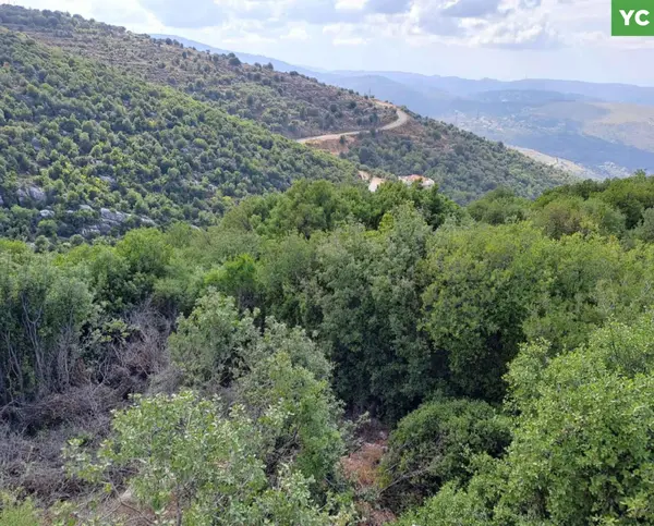 LAND/Derbilla/ Batroun /investment project
