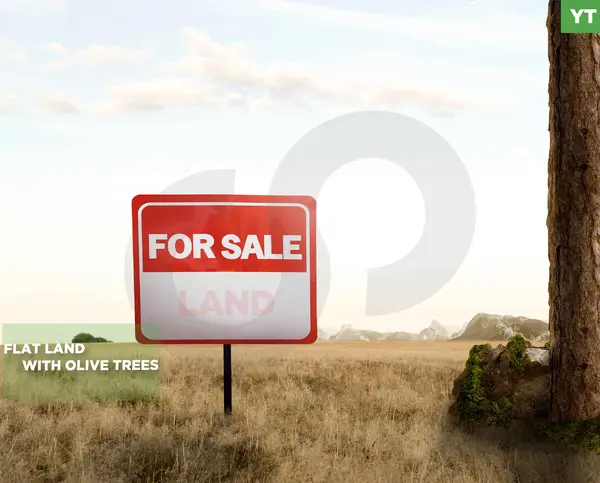 LAND/Amioun, Koura / peaceful and prestigious area