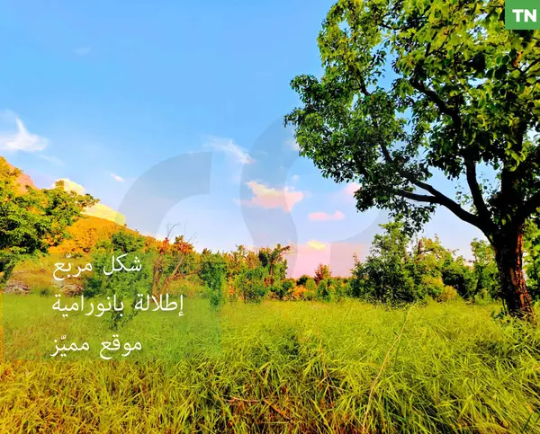 LAND / EHDEN /ZONING : 25/50