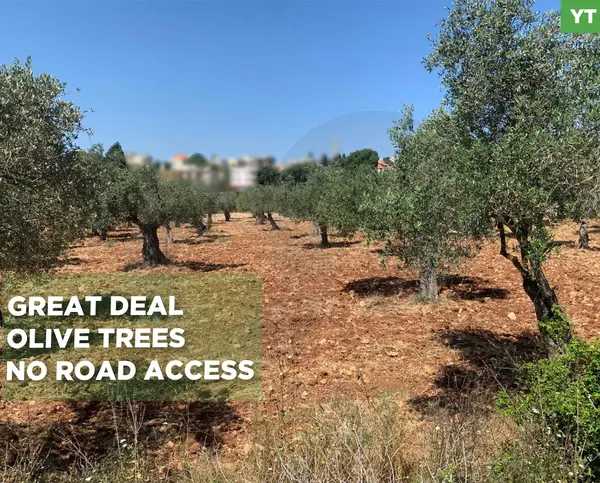 LAND/ Afsdiq – Koura / Zoning 15/30