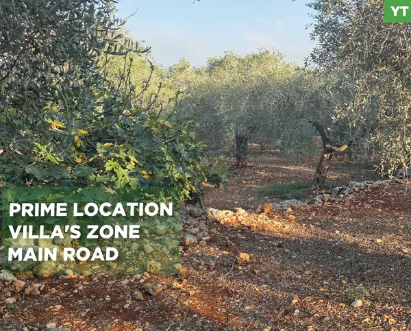 PREMIUM LAND/BATROUMINE, KOURA / Direct road access