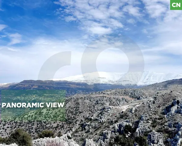 Prime 7100 sqm land Opportunity in Zaarour !