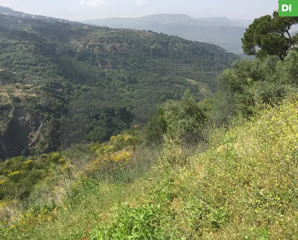 Land for Sale in Aaray - Jezzine