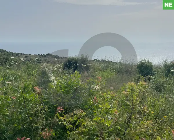 13,786sqm land FOR SALE in berbara