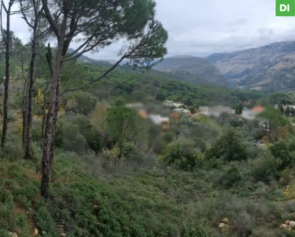 1360 SQM Land for Sale in Bkassine - Jezzine