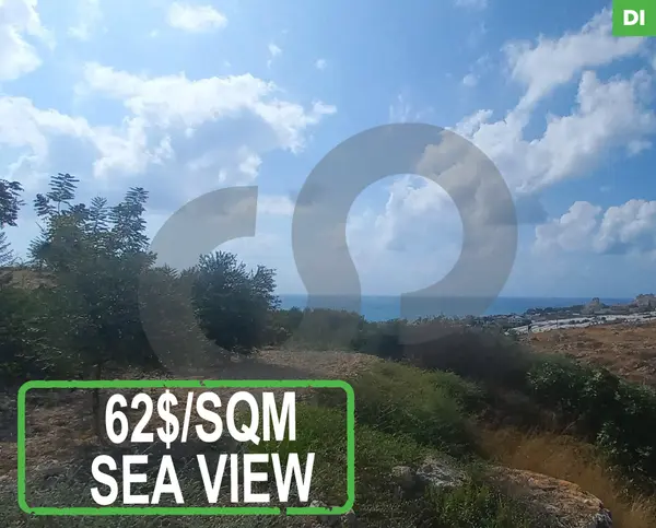 12,000 SQM Land for Sale in Rmeileh - Chouf