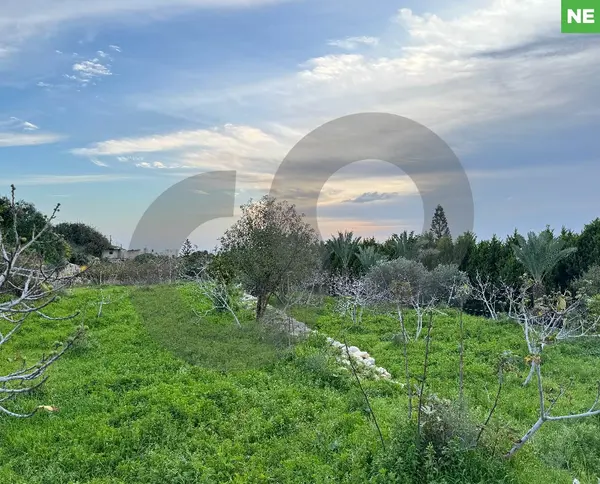 Panoramic view, clam area,Jbeil, berbara