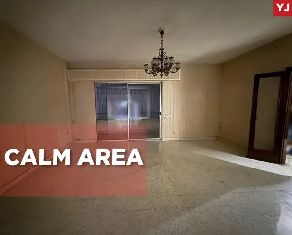 260 sqm apartment in prime location sanayeh