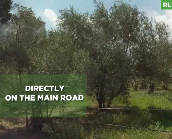 Directly on the Main Road, prime area, barsa, koura