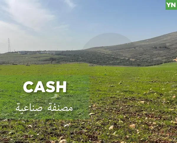 excellent opportunity for investment,zgharta,kefraya