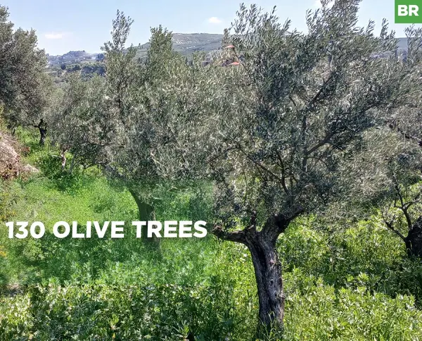 serene, picturesque setting, zakroun, koura
