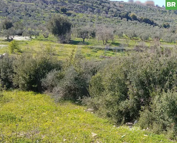 stunning mountain views, Bziza,Koura