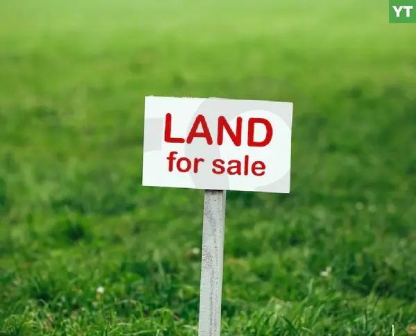 great deal, prime area, koura, metrit