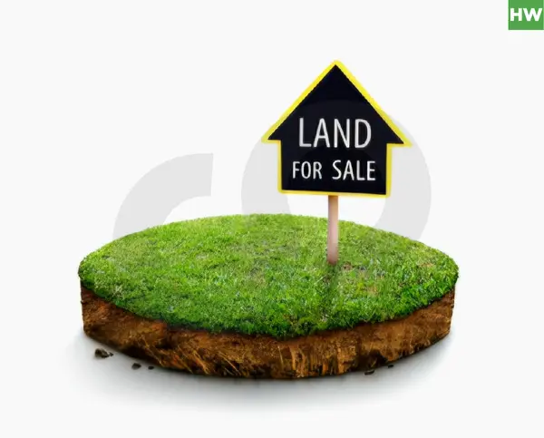 land is located ,the most luxurious streets in Adma