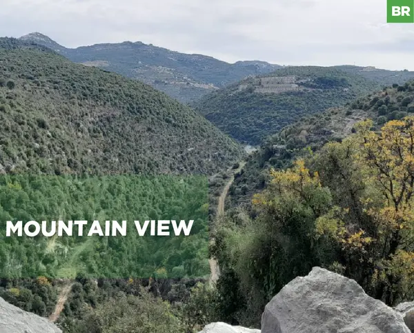 Residential or commercial projects , Batroun