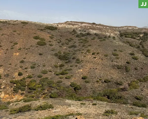 well-located plot, prime area, Zaarour