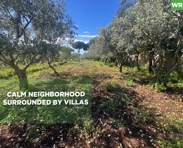 calm neighborhood, surrounded by villas, Aamchit