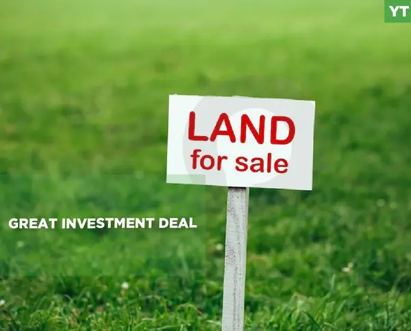 great investment, agricultural, Koura, bziza