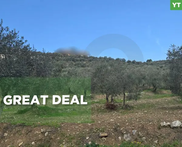 Great deal, prime location, Bezbiza, Koura