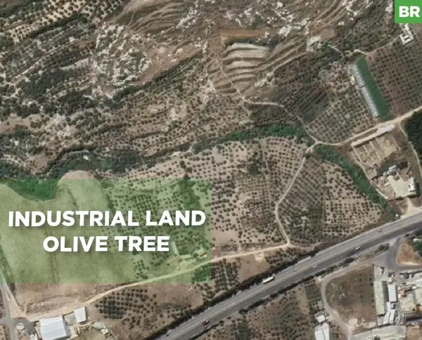 industrial land, prime location, Anfeh, Koura