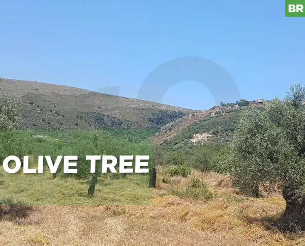 peaceful area, great deal, koura, darbashtar