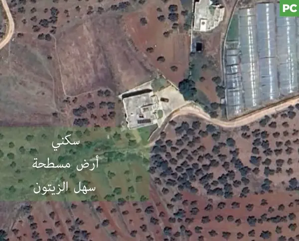 Flat land, great deal, koura, bziza