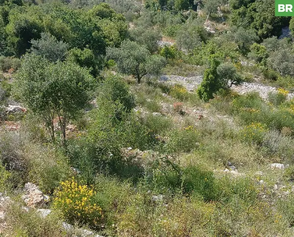 panoramic mountain view,Assia, Batroun
