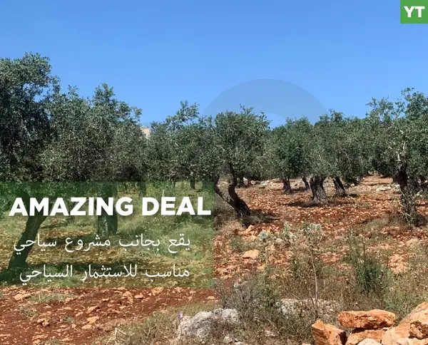 amazing Deal, great Investment , Afsdiq, Koura