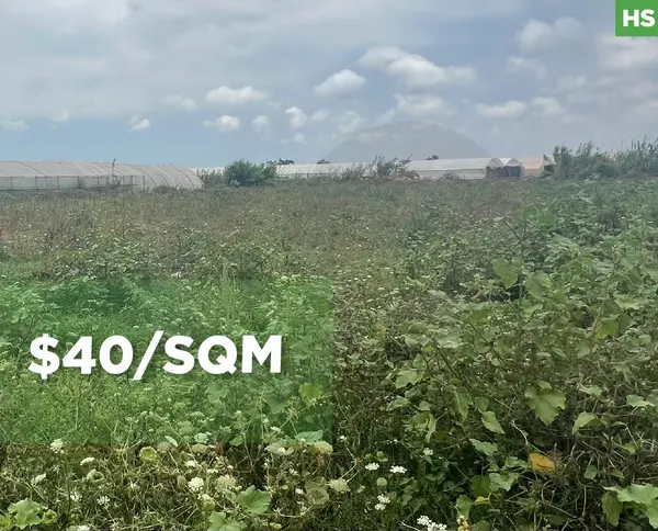 Agricultural investment, great deal, akkar, samouniyi