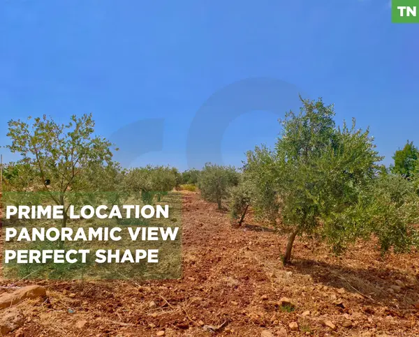 LAND/20/40 zoning/Bnacheh, Zgharta /Ideal for a private villa or investment