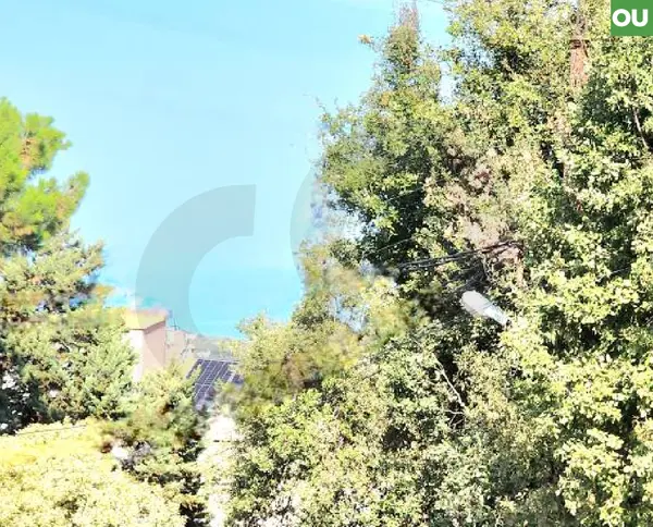 plot of land in the Mazraat Yachouh area