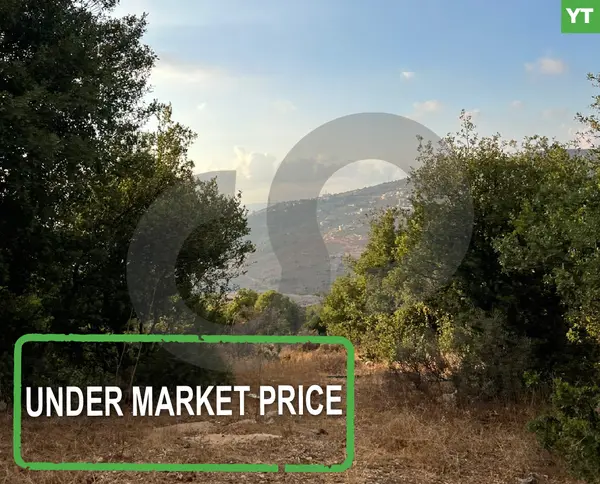 under market price -Great deal- Chira koura