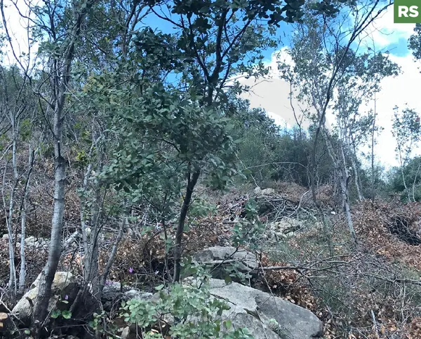 Hot Deal for Investors & Developers - Adonis – Jbeil
