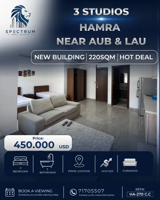 Apartment For Sale In Hamra