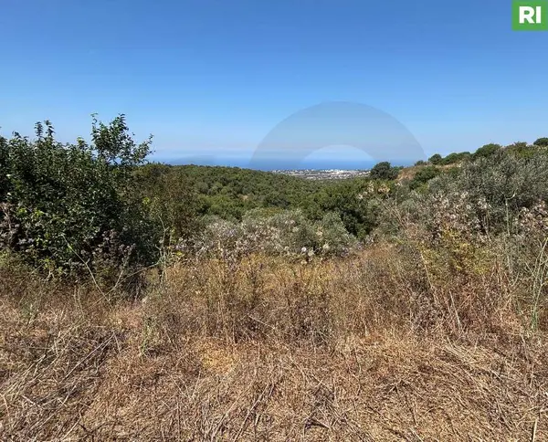 great opportunity, beautiful area BATROUN - Eebrine