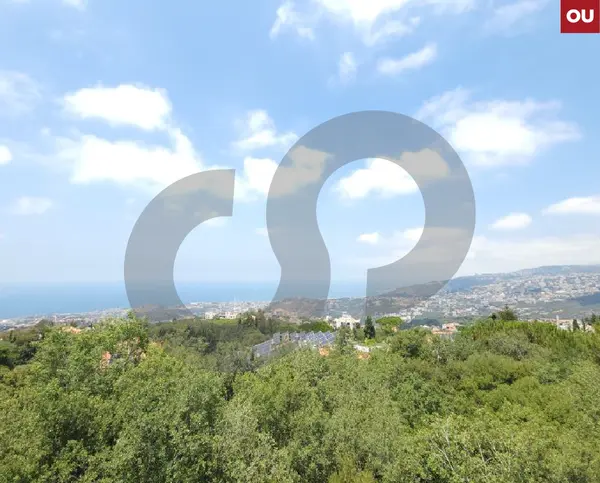 quiet apartment with an unobstructed view