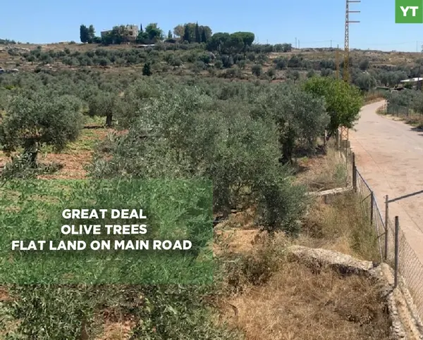 GREAT DEAL,LAND,MAIN ROAD, AFASDIQ-KOURA