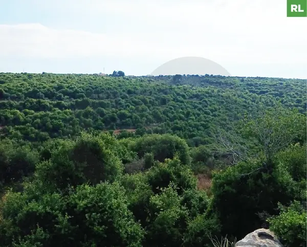 LAND FOR SALE, GREAT DEAL, DEDDEH-KOURA