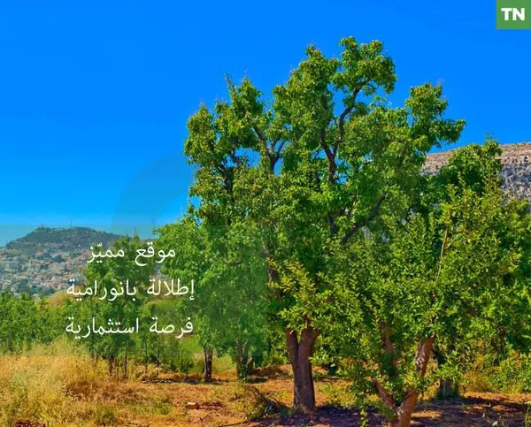 PRIME LOCATION, LAND FOR SALE, EHDEN-ZGHARTA
