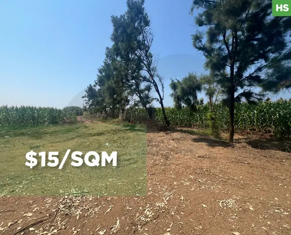 AGRICULTURAL LAND FOR SALE/PRIME INVESTMENT OPPORTUNITY/Akkar/El arida
