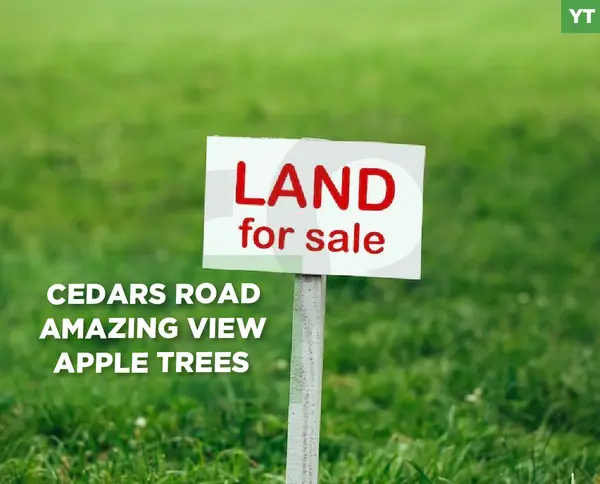 Prime Land for Sale/Cedars road/Amazing view/Apple trees/Becharre