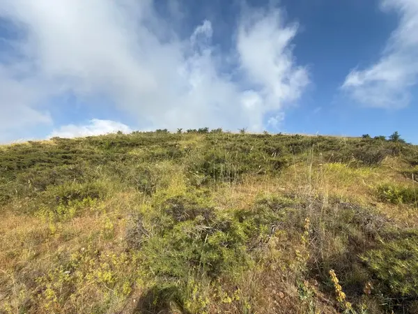 Land for Sale in Tannourine El Tahta