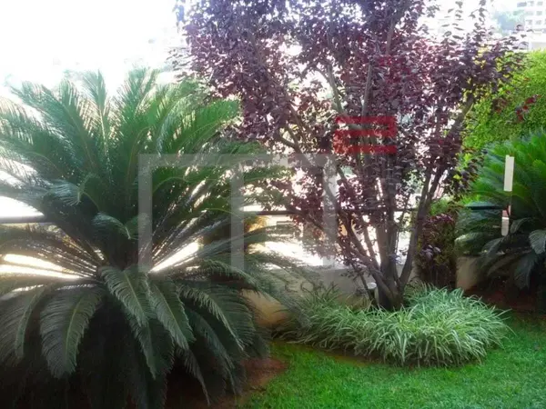 Apartment for Sale in Rabieh