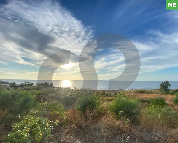 Located in a calm area in Berbara