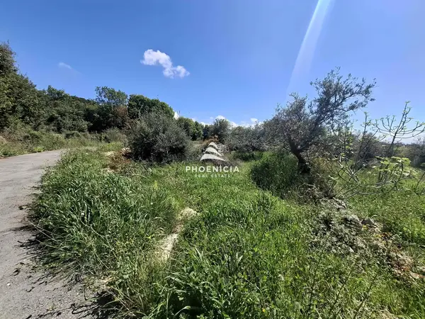 Land for Sale in Monsef