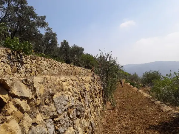 Land for Sale in Qaaqour, Lebanon