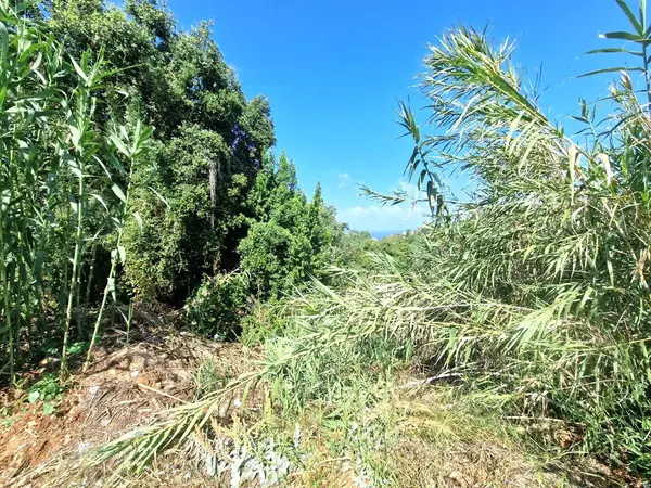 Land for Sale in Aaidmoun