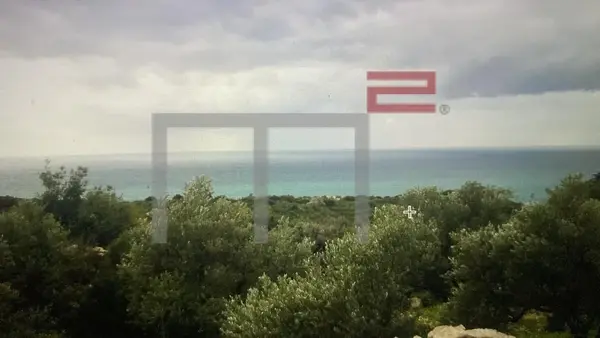 Land for Sale in Berbara