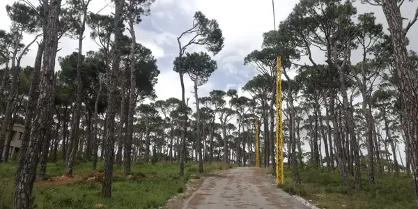 Land for Sale in Bolonia, Mrouj