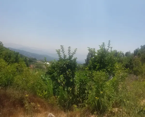 Land for Sale in Qlayaat, Lebanon